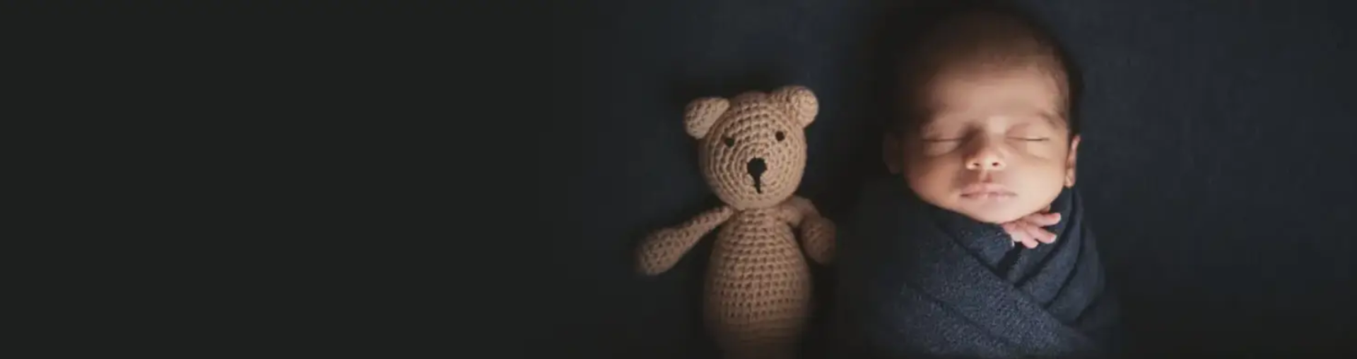 Newborn Photography 1 newborn banner