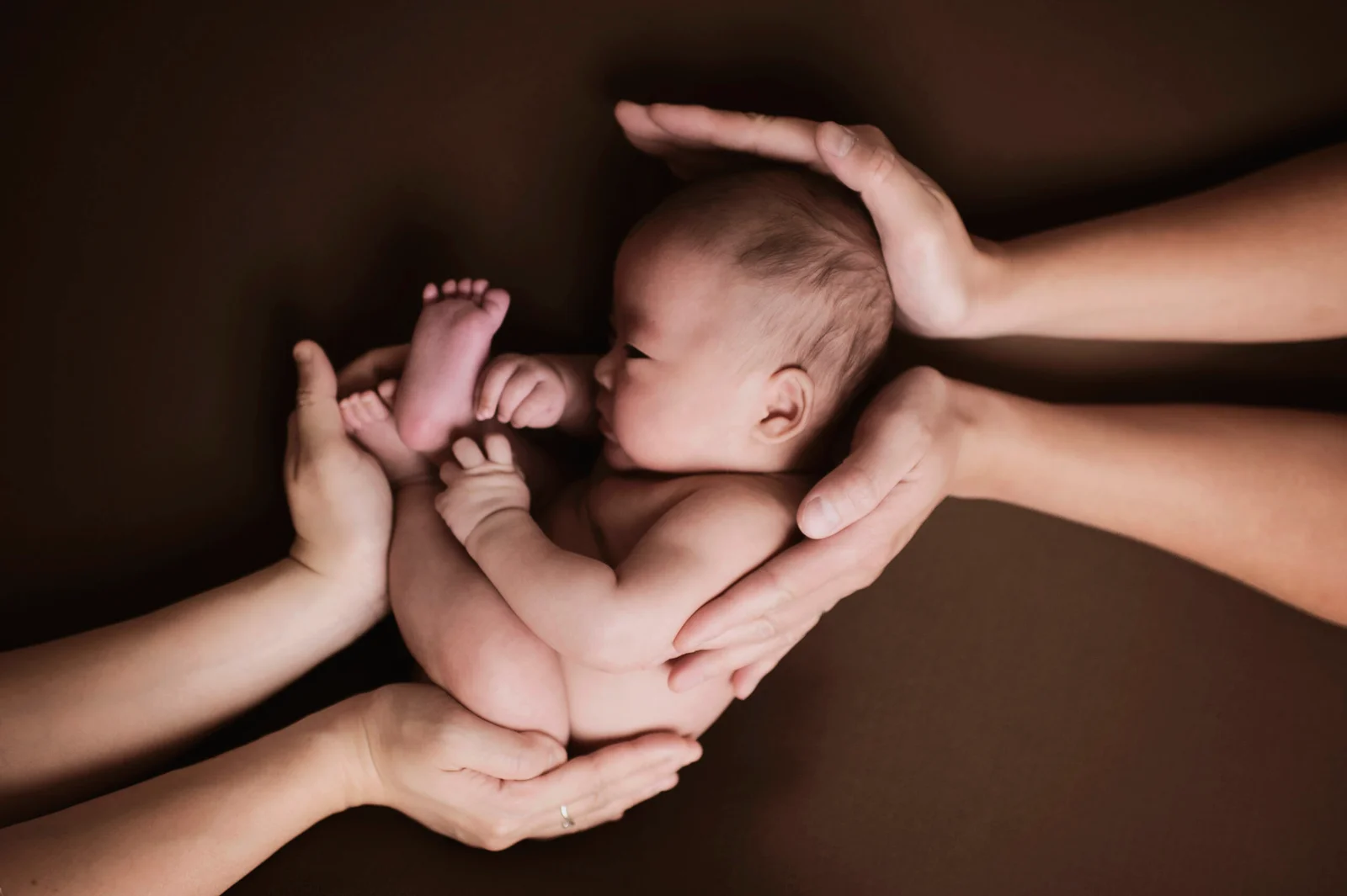 Newborn Photoshoot - Orpico